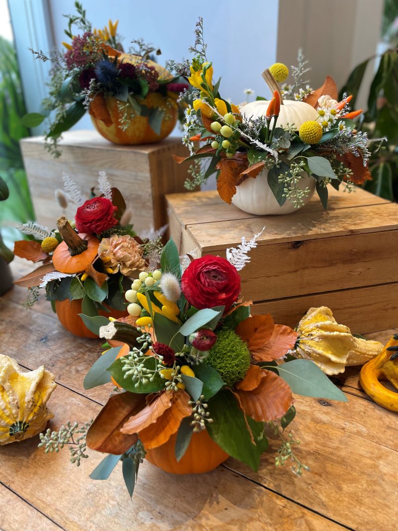 Citrouille d'automne