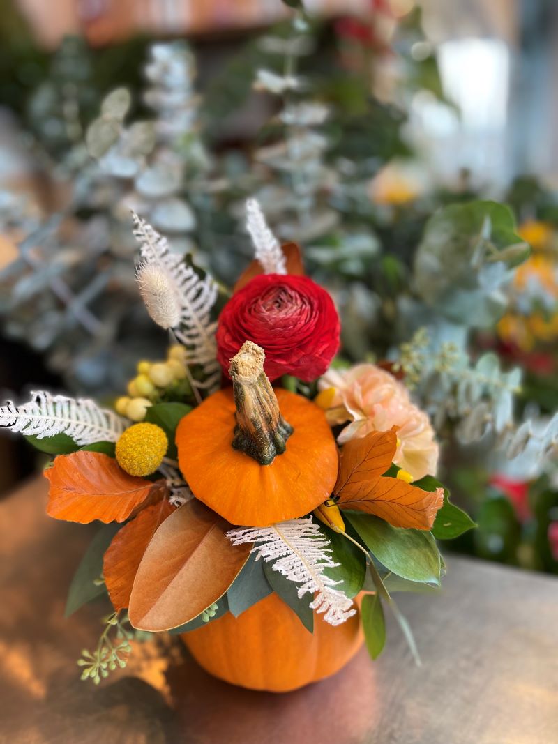 Citrouille d'automne