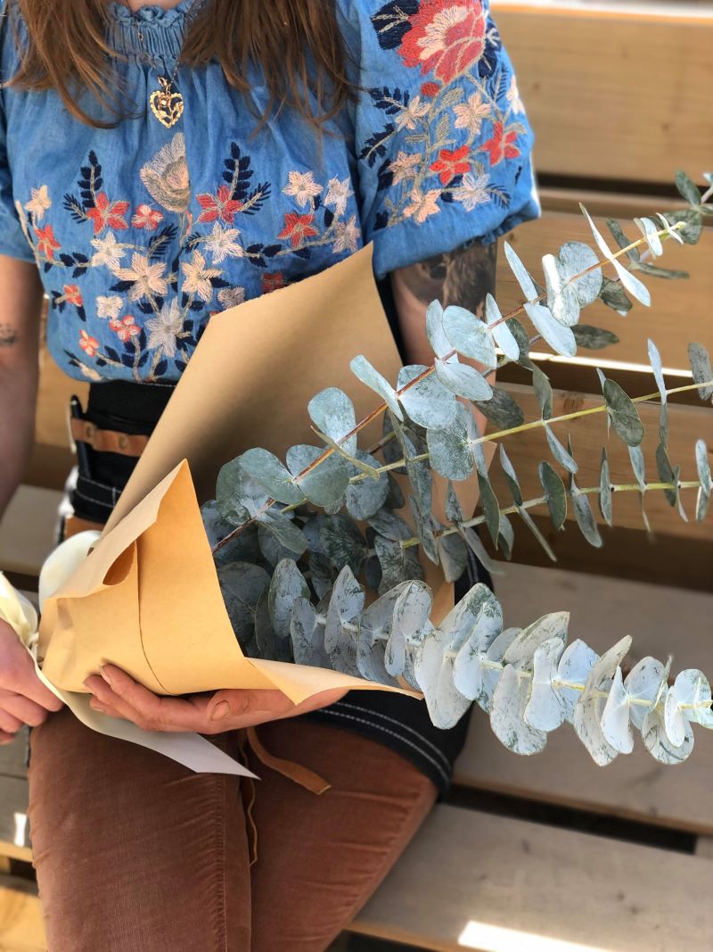 Bouquet eucalyptus