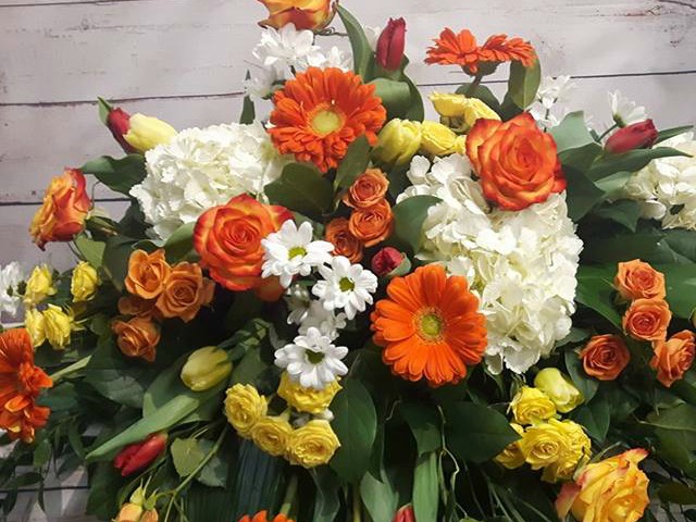 Coussin gerbera