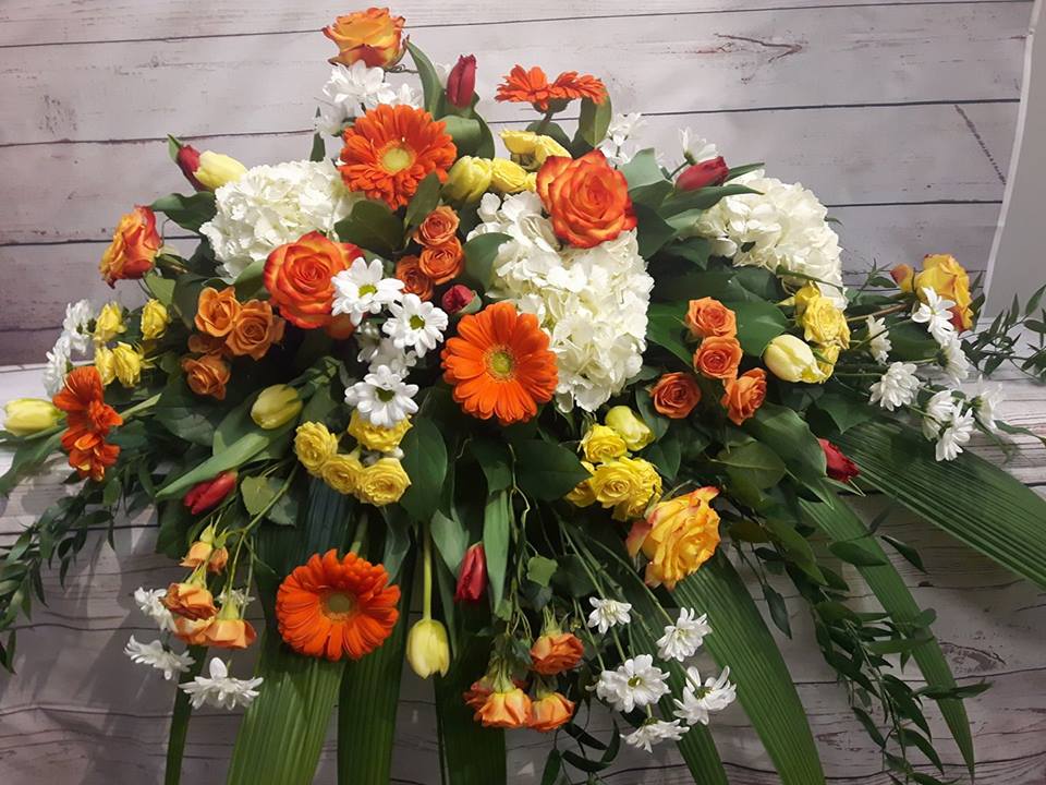 Coussin gerbera