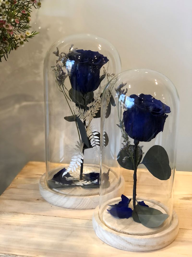 Rose éternelle par amour