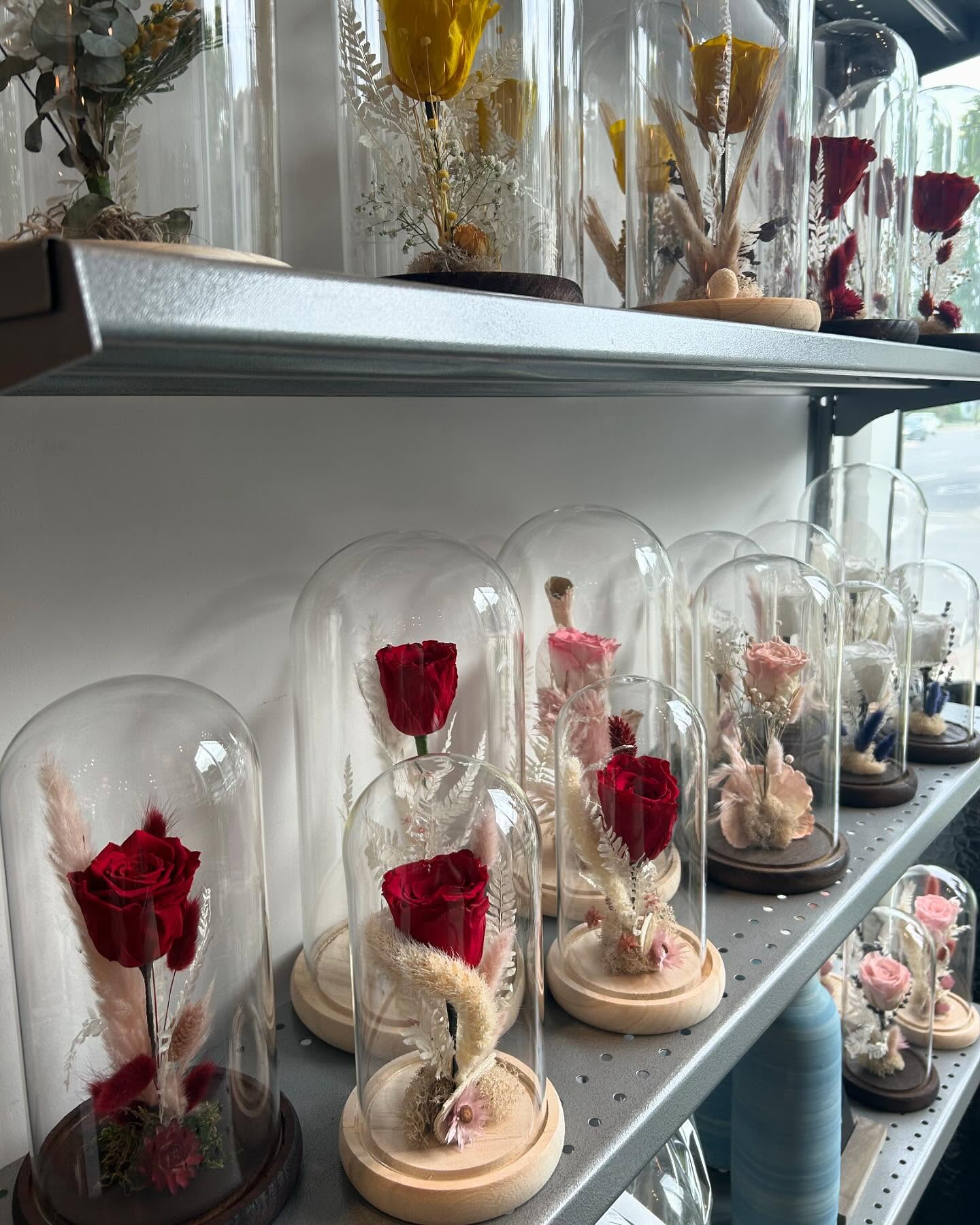 Rose vie éternelle 