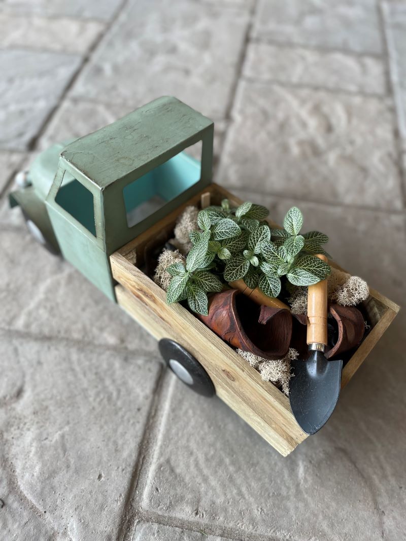 Camion du jardinier
