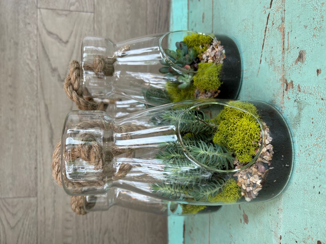 Petit terrarium succulent