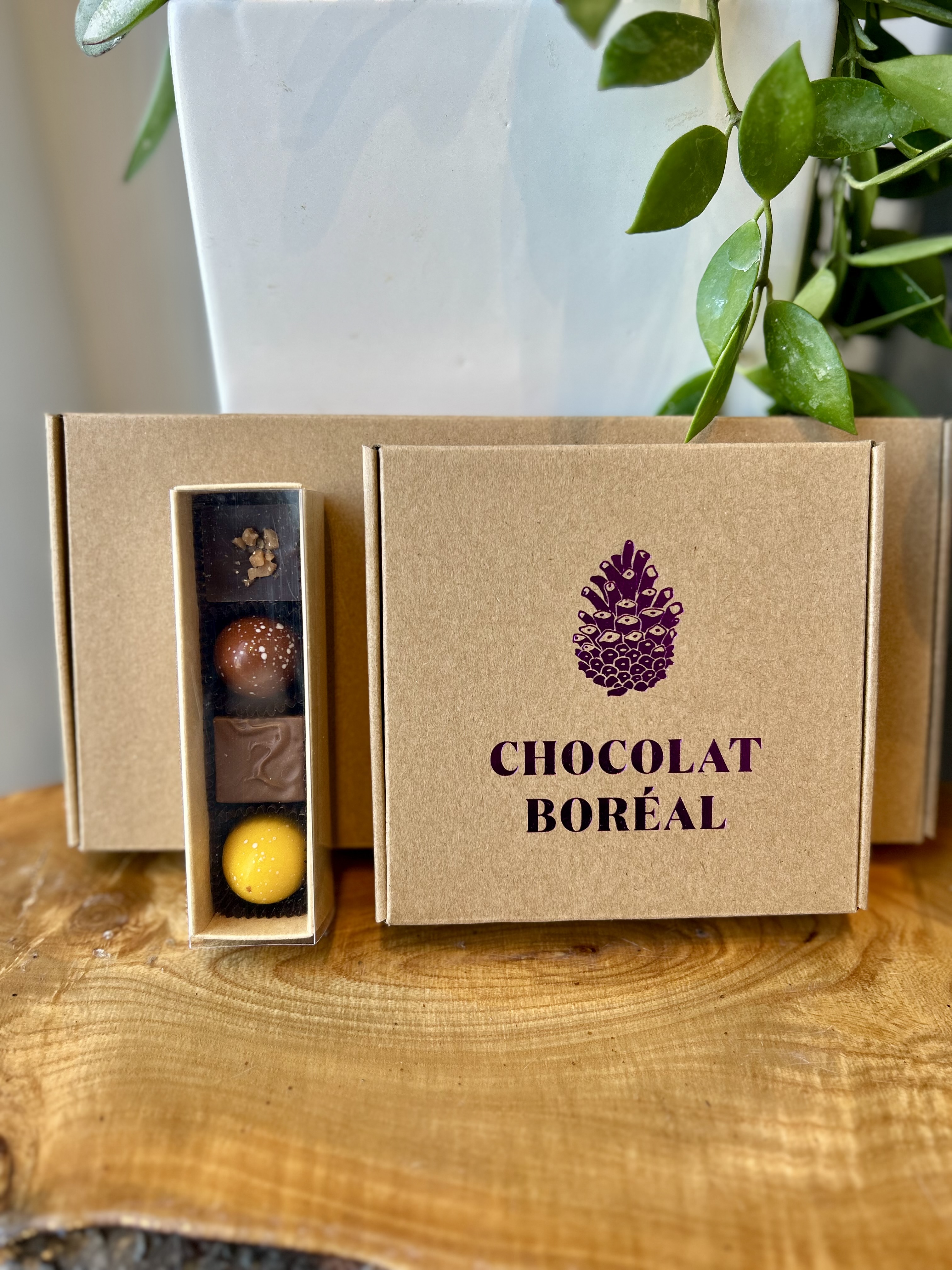 Chocolat Boréal