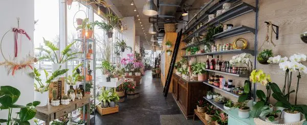 Idée cadeau fleuriste Montréal – coffret gourmand et bouquet de fleurs