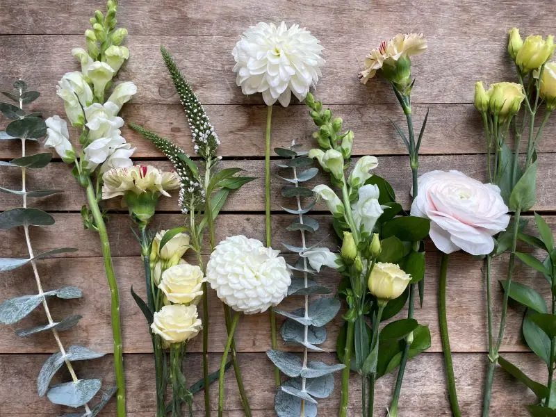 Abonnement floral mensuel – bouquet de fleurs fraîches livré à Montréal