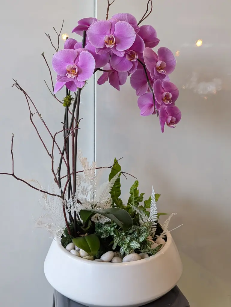 PXL_20250116_164529196.PORTRAIT.ORIGINAL.webp