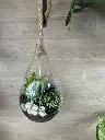 Terrarium de plantes vertes avec mousse et pierres blanches dans un contenant en verre décoré d’une corde, créé par La Maison d’Alcantara à Montréal (3).webp
