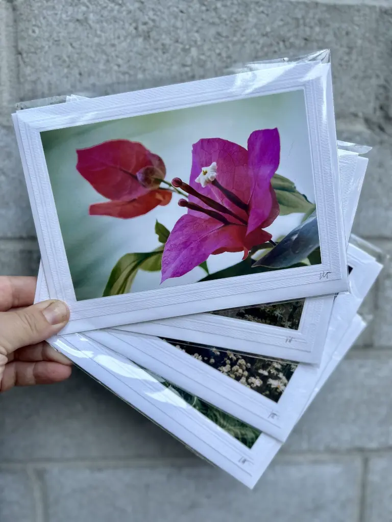 carte photo Monsieur Henri (2).webp