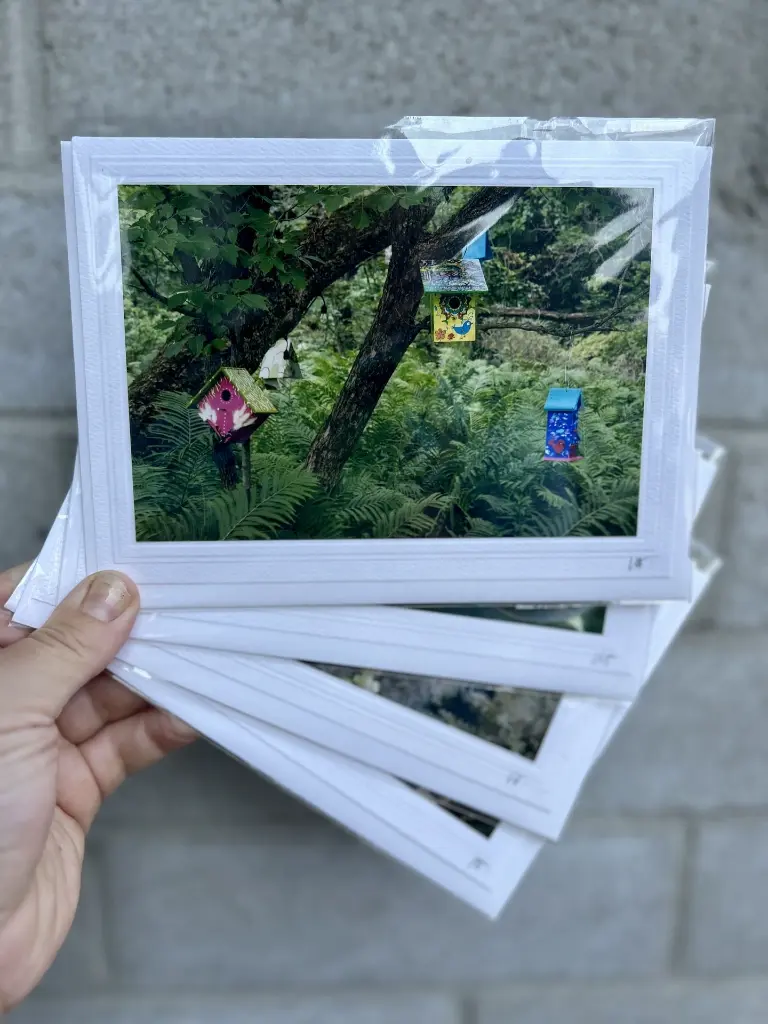 carte photo Monsieur Henri (4).webp