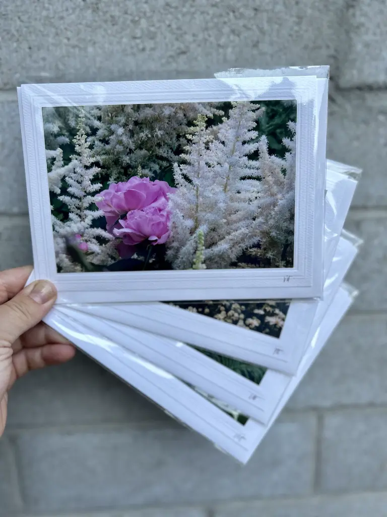 carte photo Monsieur Henri (3).webp