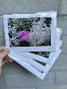 carte photo Monsieur Henri (3).webp
