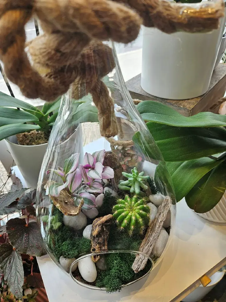 Terrarium de plantes vertes avec mousse et pierres blanches dans un contenant en verre décoré d’une corde, créé par La Maison d’Alcantara à Montréal (4).webp