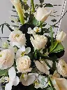 Accompagnement d’urne Paix infinie avec orchidées Phalaenopsis blanches, callas, roses, renoncules et tulipes à Montréal.1.webp
