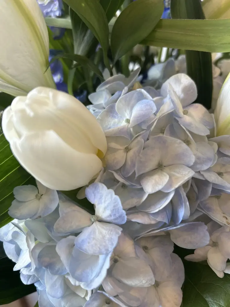Bouquet bleu ciel (1).webp