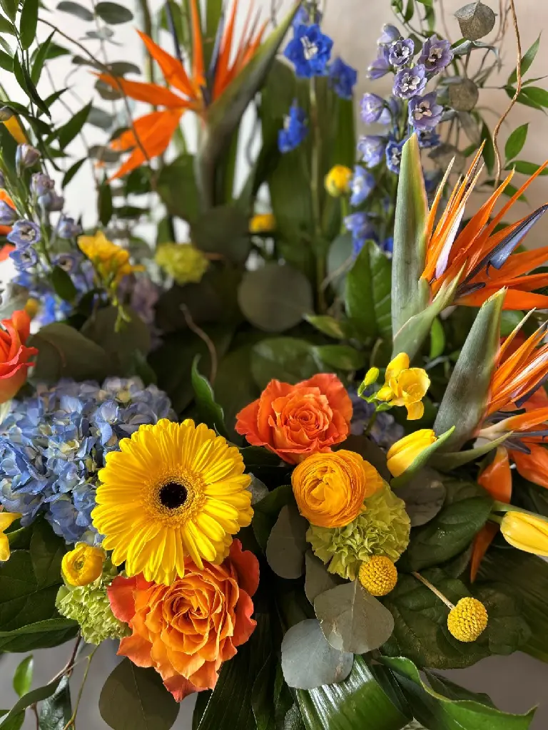 Hommage vibrant – accompagnement d’urne coloré avec oiseaux du paradis, roses orange, hydrangées bleues et gerbera jaune à Montréal.1.webp