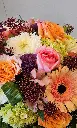 Bouquet de fleurs pêche et rose avec roses, gerbera et hydrangée confectionné par La Maison d’Alcantara, fleuriste à Montréal,2.webp
