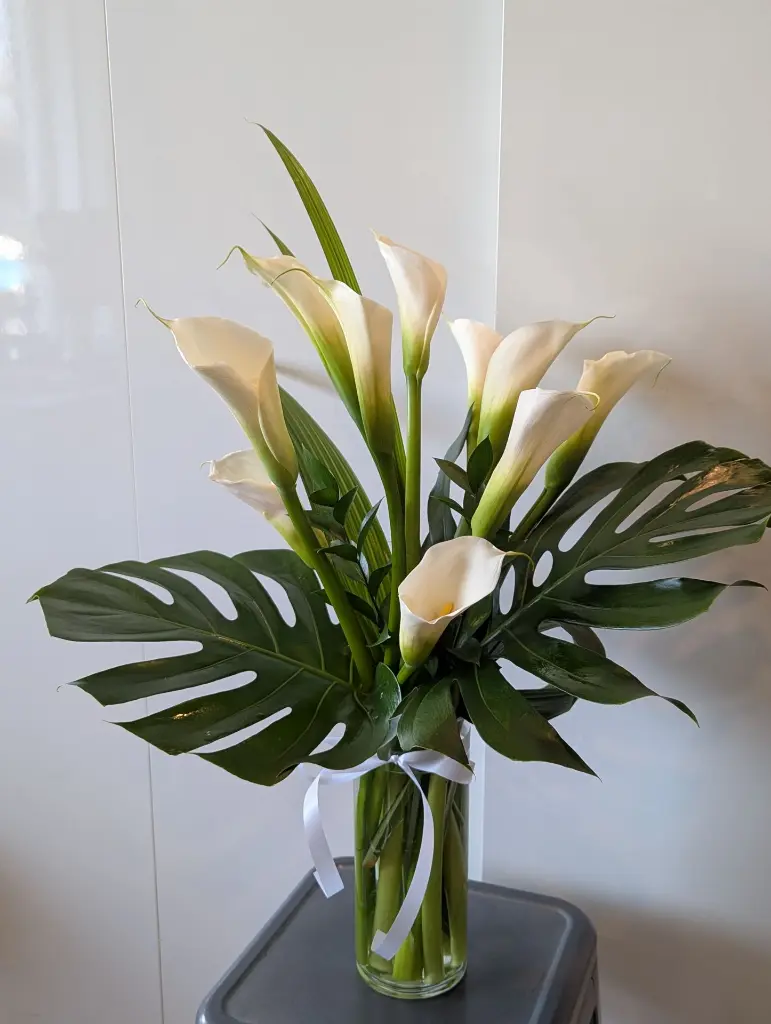 composition las callas (3).webp