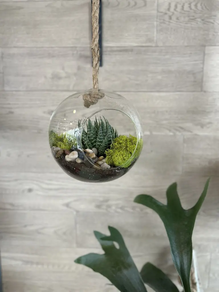 terrarium boule suspendu (2).webp