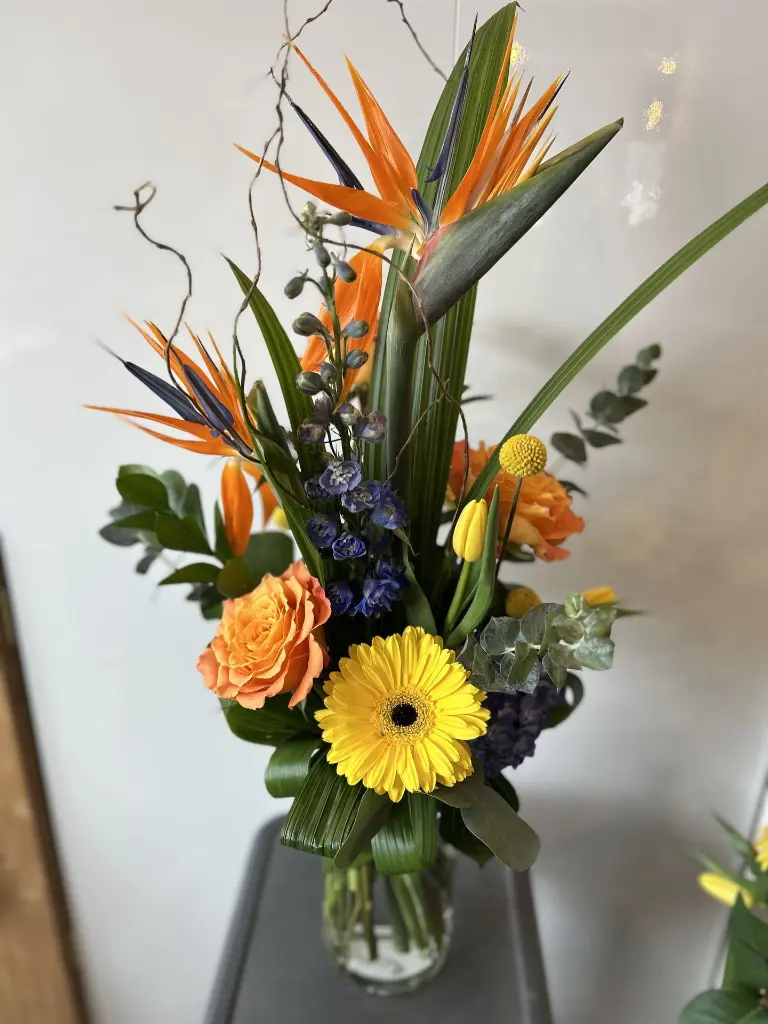 accompagnement d'urne ensoleillé (3).webp