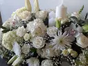 Coussine le grand blanc (1).webp