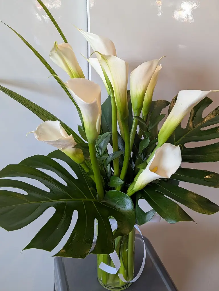 Élégance pure – bouquet de callas blancs avec feuilles de monstera dans un vase de verre – La Maison d’Alcantara Montréal.webp