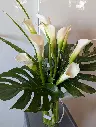 Élégance pure – bouquet de callas blancs avec feuilles de monstera dans un vase de verre – La Maison d’Alcantara Montréal.webp