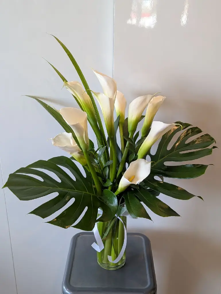 Élégance pure – bouquet de callas blancs avec feuilles de monstera dans un vase de verre – La Maison d’Alcantara Montréal.1.webp