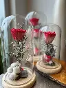 éternelle rose sous cloche de verre avec végétaux séchés et décoration naturelle à Montréal.webp