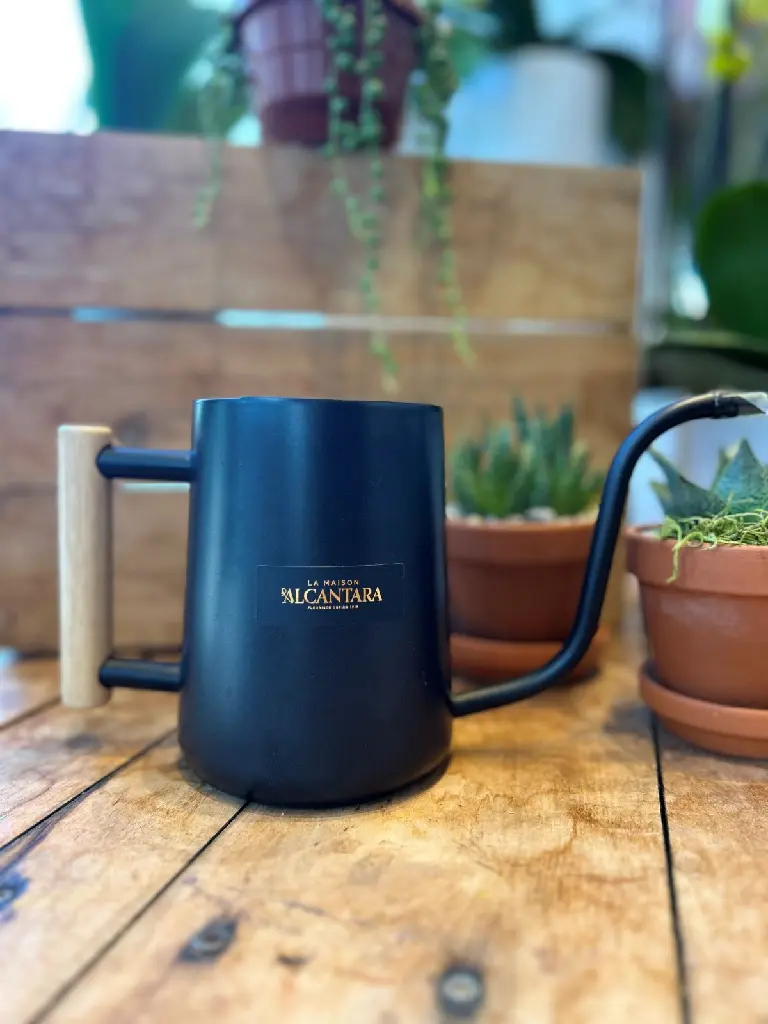 Arrosoir signature noir La Maison d’Alcantara avec poignée en bois, entouré de plantes d’intérieur à Montréal. (3).webp