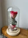 rose éternelle pour la vie (1).webp