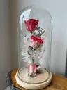 rose éternelle pour la vie (3).webp