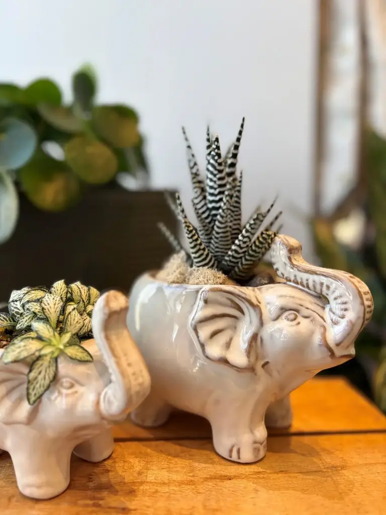 Éléphant plante verte