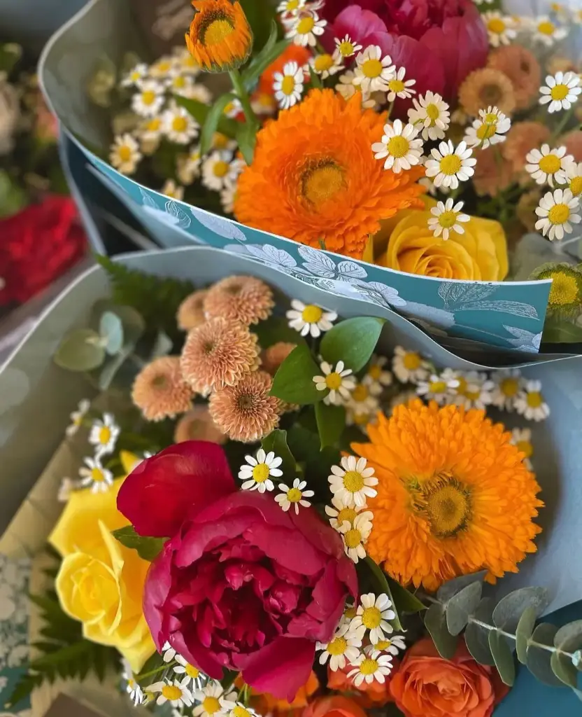 Bouquet camomille