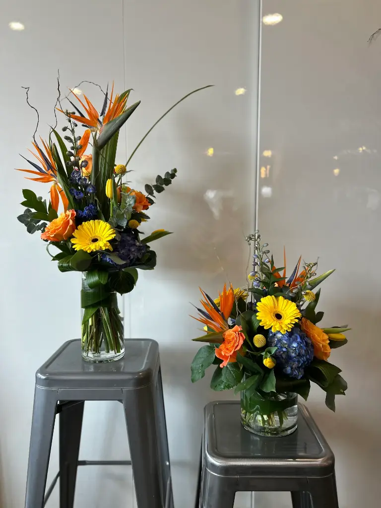 Accompagnement d'urne ensoleillé