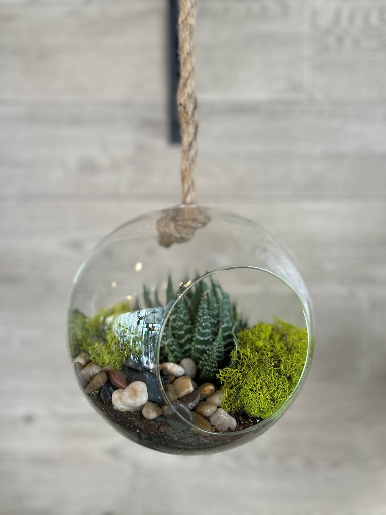 Terrarium boule