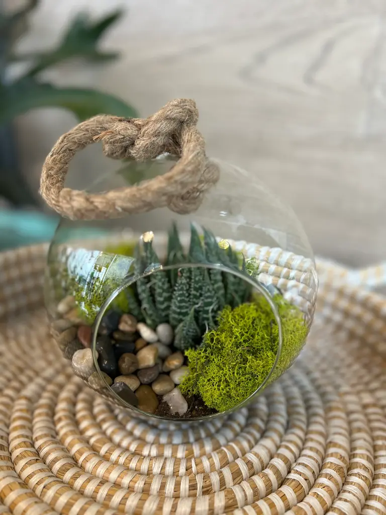 Terrarium boule