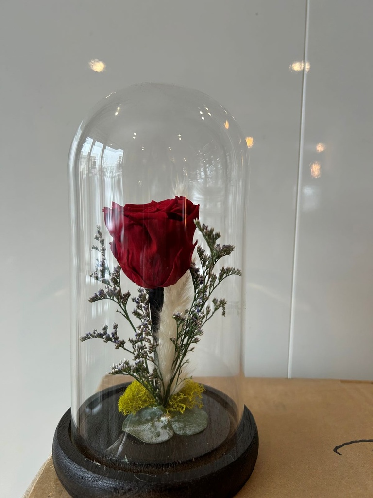 Amour Éternel | Rose rouge éternelle sous cloche (PETIT)
