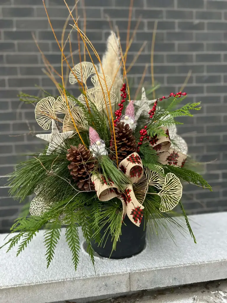 Cadeau Noel arrosoir