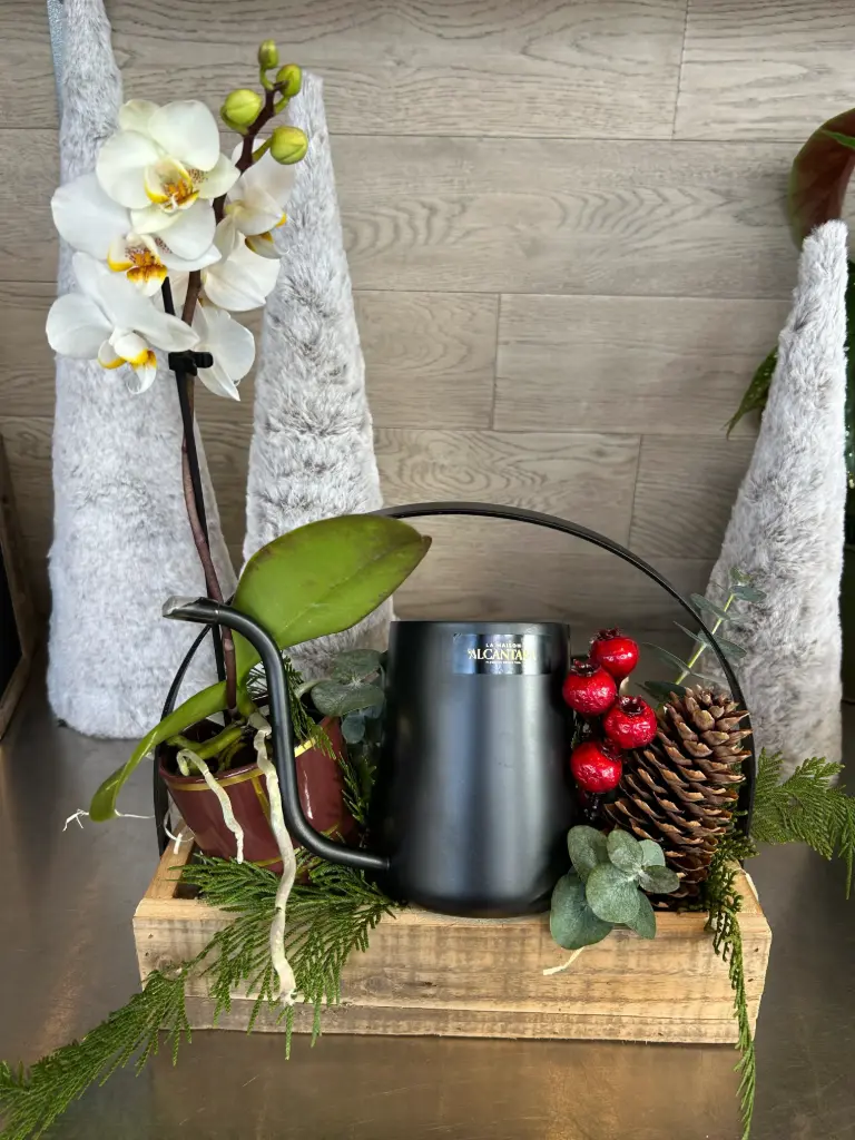 Cadeau Noel arrosoir