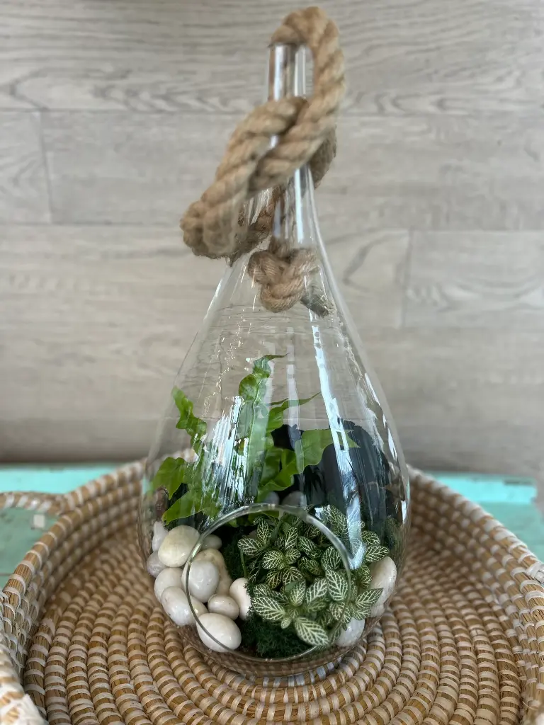 Terrarium goutte