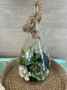 Terrarium goutte