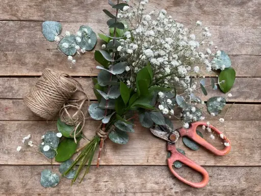 Abonnement bimensuel de 6 mois