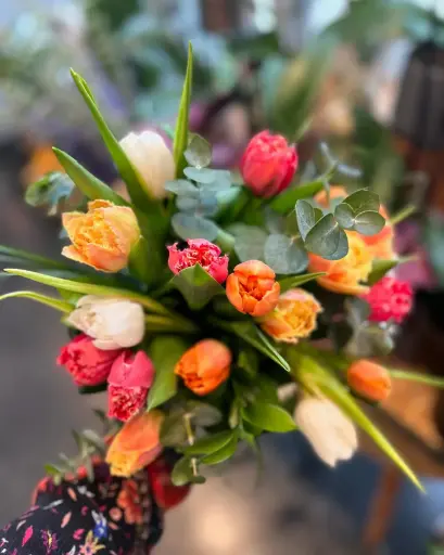 Bouquet tulipe