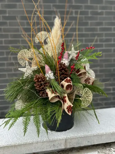 Déco extérieur de Noël