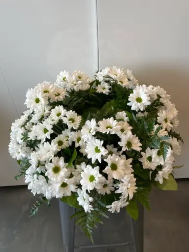 Accompagnement d'urne marguerite